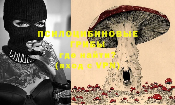 дживик Арсеньев