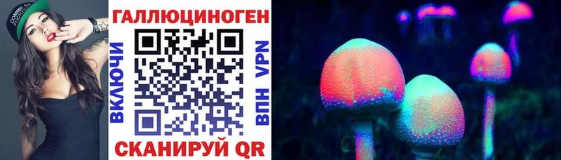 Псилоцибиновые грибы мицелий площадка официальный сайт Подпорожье